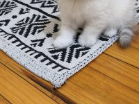 Pamuk yakışıklı british shorthair bebeklerimiz