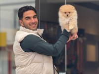 Yavru Pomeranian Bebeklerimiz