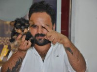 Satılık Yorki Yorkshire Yavrular