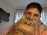 Çiftleştirmek istiyoruz dişi kedimizi cins kedimiz