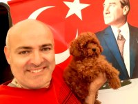 Toy Poodle yavrularımız efsane bebişler