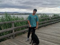 2 Yaşında SECERELİ Dişi DOBERMANN
