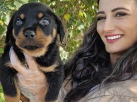Rottweiler bebeğimiz