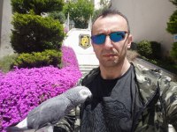 ÖMÜR BOYU BİR DOST JAKO PAPAĞANI