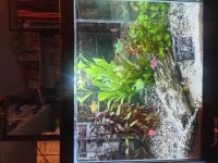 Full set hazır bitkili nano akvaryumlarımız