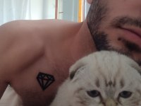 Scottish fold sıfır kulak arayan pişman olmaz uygun