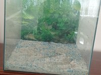 1 metre akvaryum set