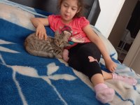 Minik bebeğe yuva tekir