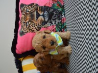 Ev Doğumu Maltipoo Bebi̇şleri̇m Yeni Yuvasını Arıyor