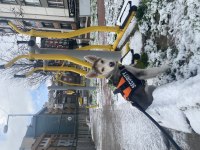 6 AYLIK HUSKY