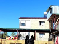 Köpeğimize eşleme dişi aday arıyoruz
