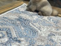 Teacup Orange Pomeranian Boo Yavrularımız