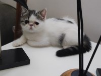 Çok sevimli çok oyuncu son kalan bebekleim