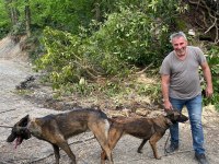 Rezerve açık malinois yavrular