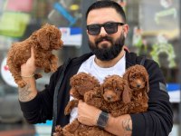 Çağrı Çemçem İn Sizin İçin Seçtiği Özel Yavrular