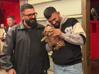 Teacup koyu renkli maltipo yavrularımız