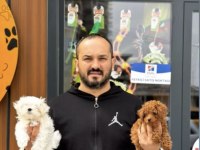 Kore kan Malta Maltiz bebekler
