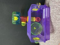 HAMSTER VE TÜM İHTİYAÇLARI İÇİN BURADAYIZ