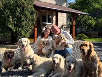 Golden Retriever Adrese Teslim Kapıda Ödeme Yapabilirsiniz