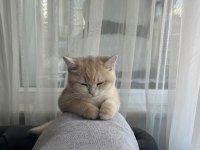 3 AYLIK KEDİMİZ