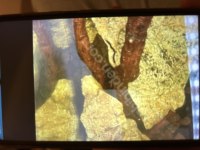 1 Metre Akvaryum