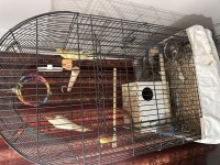 ERKEK DİŞİ SULTAN VE KAFES SET