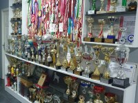 TÜRKİYE ŞAMPİYON YAVRULAR A ŞECERELİ ROTTWEİLER RESMİ ÜRETİM