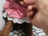 Toy poodle yavru