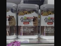 81 ile GÜVENLİ HAMSTER GÖNDERİM SAĞLAYAN TEK FİRMA