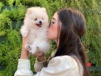 AYI SURAT POMERANİAN YAVRULARIMIZ