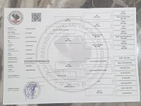 8 aylık dişi 4 aylık erkek belçika kurdu