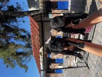 Cane corso yavrularım