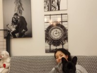 Sahibinden french bulldog çoluk çocuk aramasın