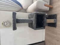 Aksesuarları ile birlikte kedimi sahiplendirmek istiyorum