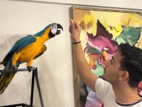 Macaw Papağanı