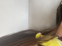 Bir çift sarı forpus