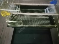 3-6 Aylık, Erkek Sultan Papağanı ve Kafesi