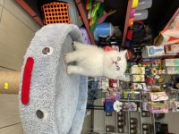 Scottish Fold Longhair Brıtısh Shortair