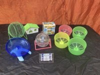 Antalya Adrese Teslim Hamster Kuş Balık Betta