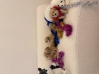 0 Numara maltipoo yavrularımız