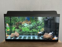 80 cm akvaryum