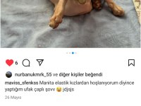 Sfenks Dişi