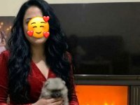Teddy Bear Pomeranian Boo Üst Kalite Yavrularım
