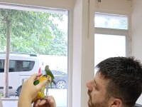 Yavru kayık papağanı