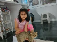 Ücretsiz sıcak bir yuvası olsun istiyoruz