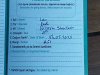 Kedimizi ve ekipmanlarını ücretsiz sahiplendiriyoruz