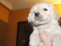 Baby Face 3x Yavrumuz Var Bakımlı