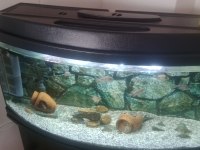 TETRA 1200 DİŞ FİLTRE VE 1 METRE BOMBELİ AKVARYUM