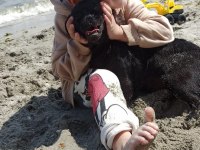 Chug 5 kg minik sütlacımız köpeğimiz