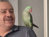 Meraklısına Alexander Prenses